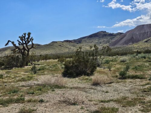 RARE FIND: LARGE 2.5-ACRE PARCEL IN CALIFORNIA CITY, SOUTHERN CALIFORNIA LOCATED IN A GROWING AREA FOR JUST $289 PER MONTH.